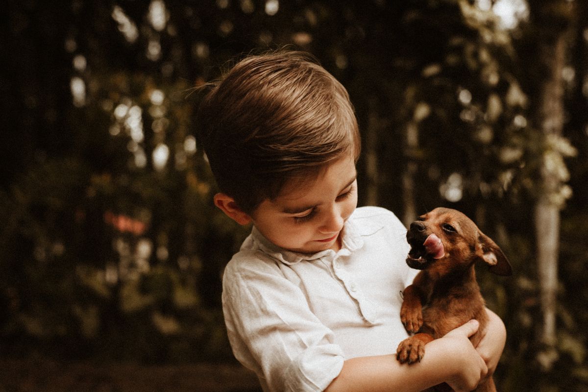 Chien de famille : les meilleures races avec enfants