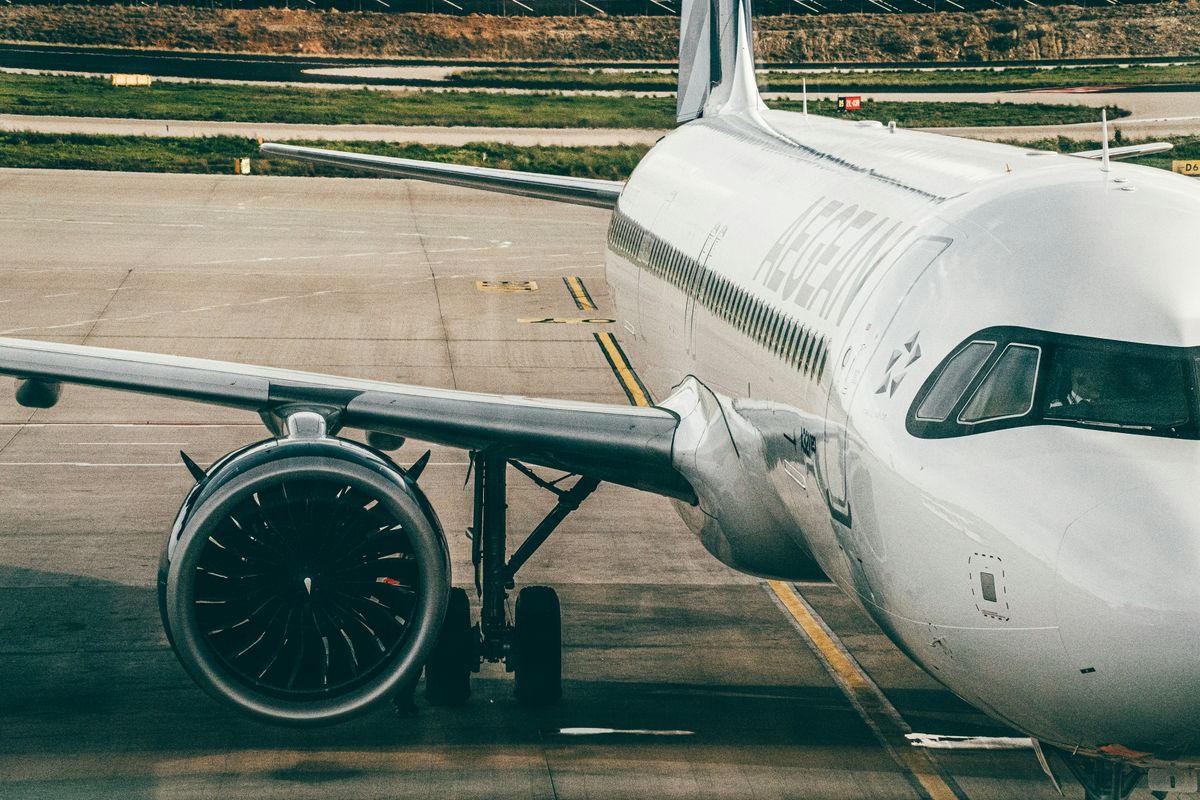 Voyager avec son chien : transport, train, avion et voiture