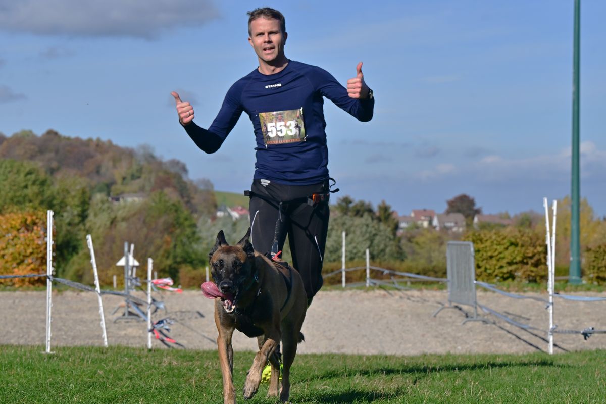 Cannicross : pratique, bienfaits et conseils pour courir avec son chien