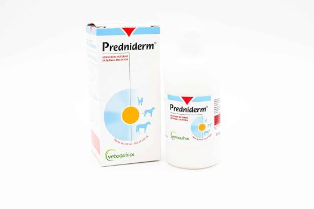 Predniderm : précautions et conseils pour votre animal